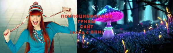 спайс Беломорск