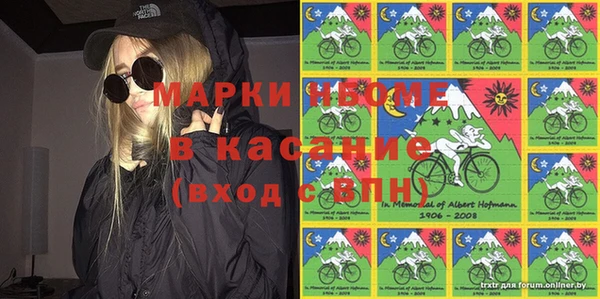 трава Белокуриха