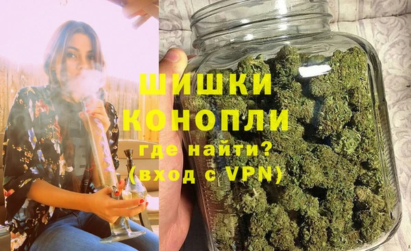 трава Белокуриха