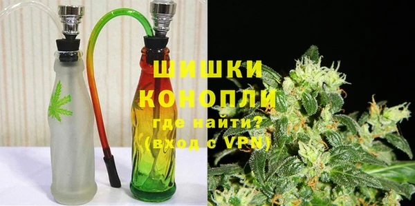 трава Белокуриха